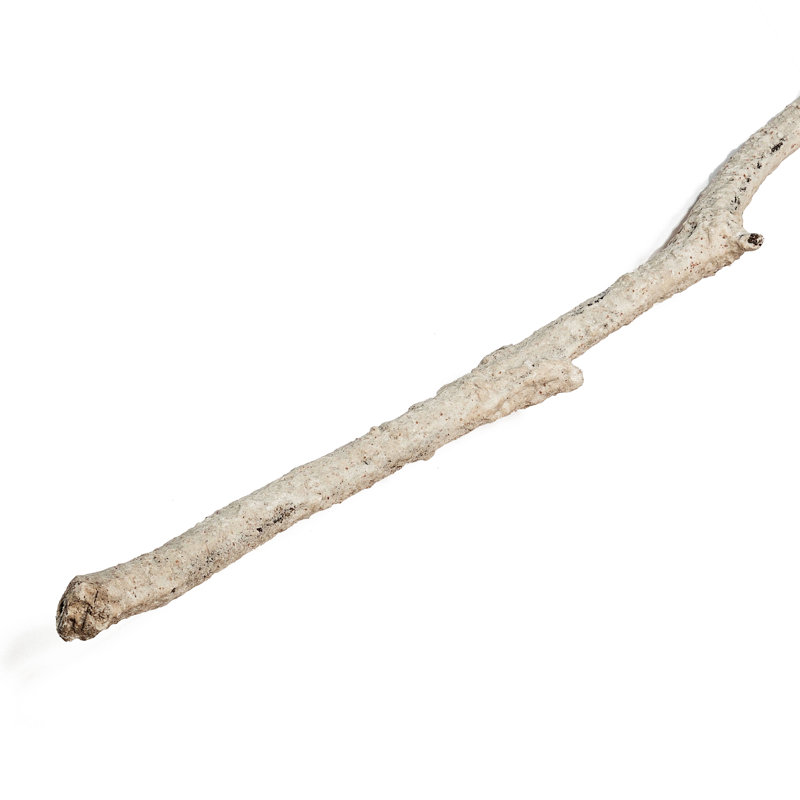 Branch Décor - Set of 4 - Cream