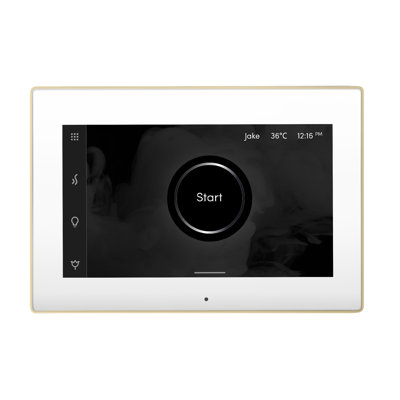 iSteamX Steam Shower Control and Steamhead