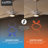 Inez 60'' Ceiling Fan with LED Lights-110912651