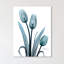 «Midnight Sky Tulip Trio», impression sur toile tendue-23604798