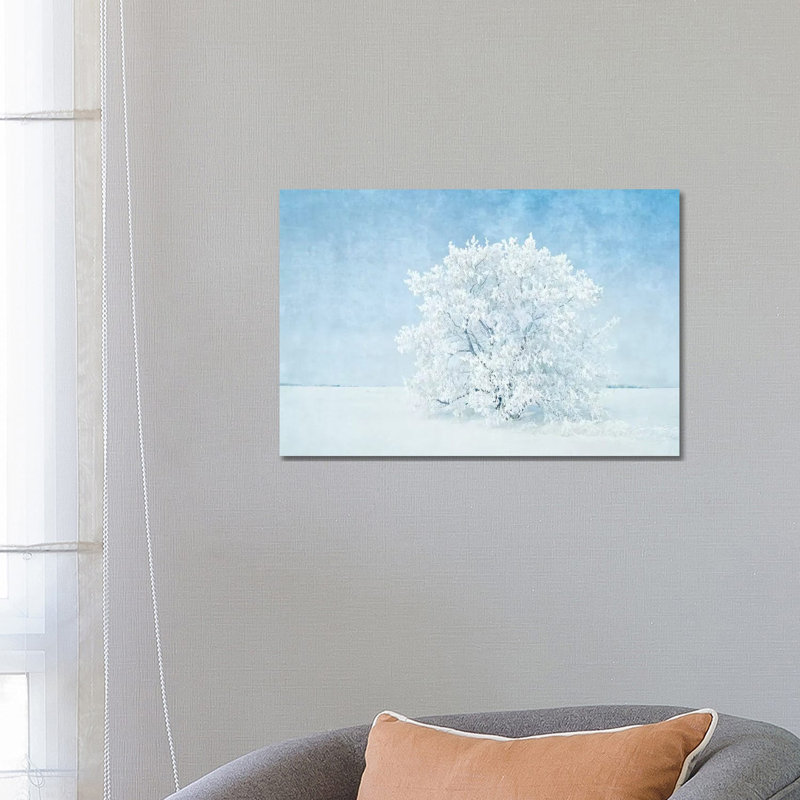 Canada, Manitoba. Snow-Covered Tree 1 Piece Wrapped Canvas Wall Art