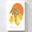« Lemon » de Carol Robinson – Impression sur toile-2111657974