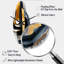 Horloge murale incurvée en métal Glam Gold and Black Expression II - Abstract Spirals-104243032