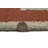 Trellis Handmade Tufted Wool Area Rug in Rusty Red