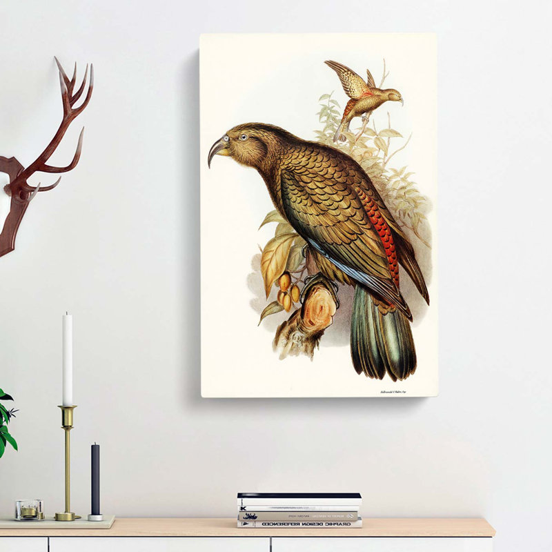Kea Parrot by Elizabeth Gould - Wrapped Canvas Painting, 76cm H x 50cm W x 3cm D