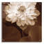 «Lotus Welcome» par Rebecca Swanson