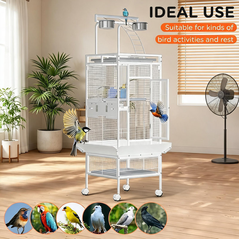 Bird Cage