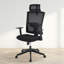 Chaise de bureau ergonomique en maille à dossier haut, chaise de bureau robuste pouvant supporter jusqu'à 159 kg (350 lb) avec appui-tête réglable, soutien lombaire, fonction inclinable et accoudoirs pliables.-575716245