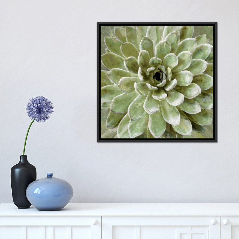 «Succulent VI», impression sur toile, H 18 po x l 18 po x P 1,5 po, Toile avec cadre noir, Pas de tapis