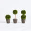Centre de table en pot Alby