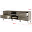 Carbajal TV Stand