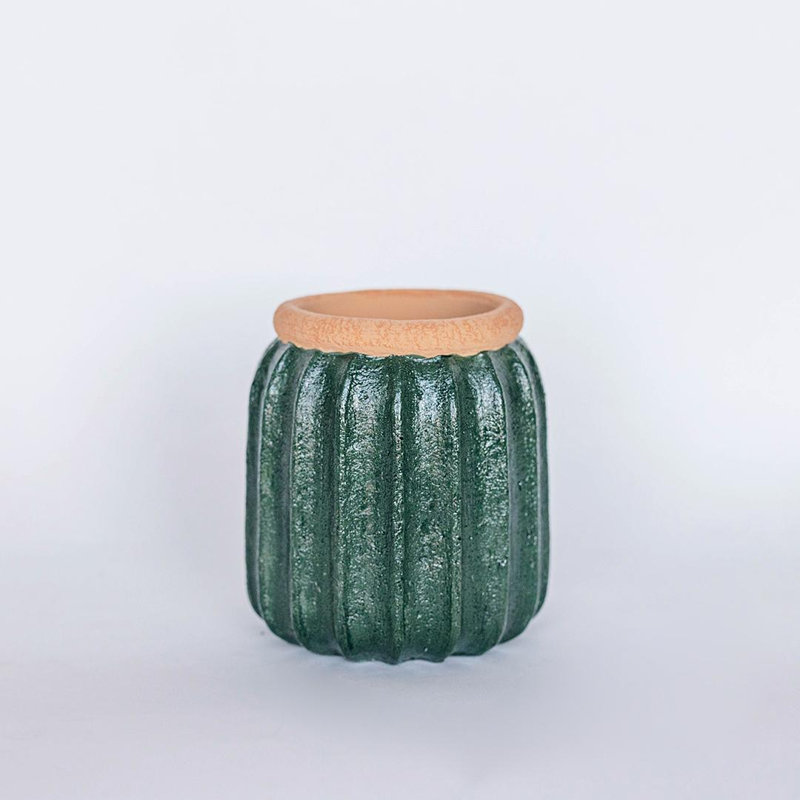 Cactus Look Flower Pot Planter