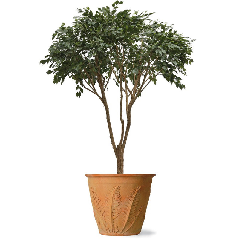 Vazquez Fibreglass Cachepot, Medium