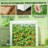 Outdoor Mini Greenhouse,Modern Greenhouse-125906389