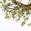 22" Handmade Spring Branch Wreath