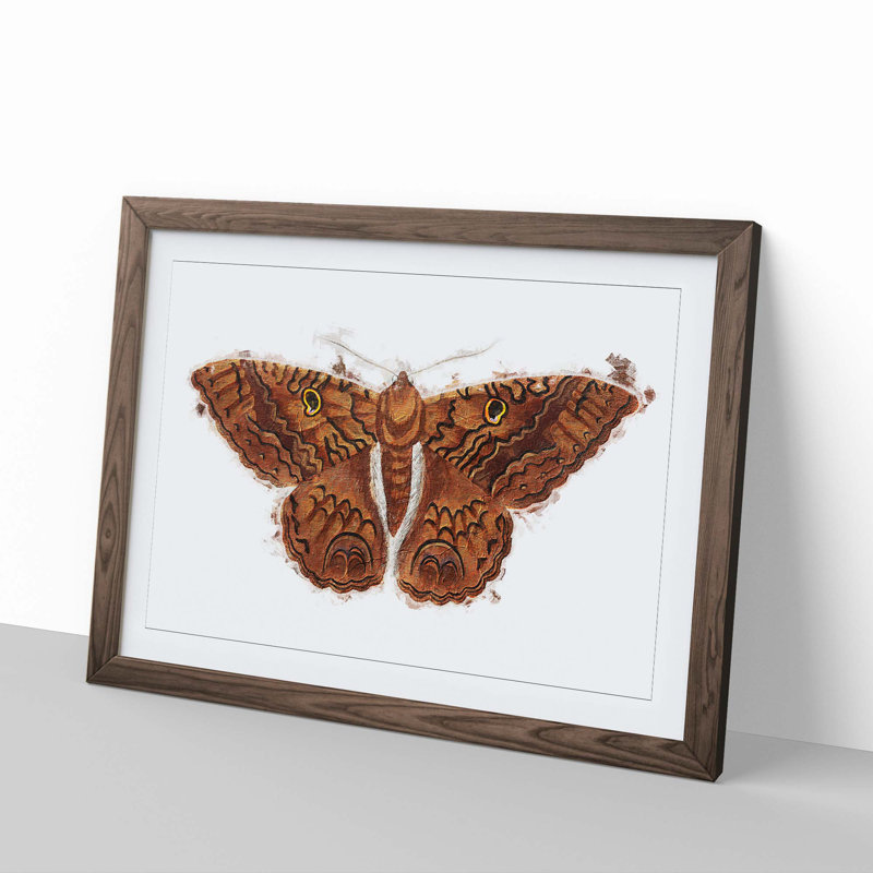 Sable Moth by George Shaw - Picture Frame Painting Print, 36cm H x 48cm W x 2cm D, Walnut Framed