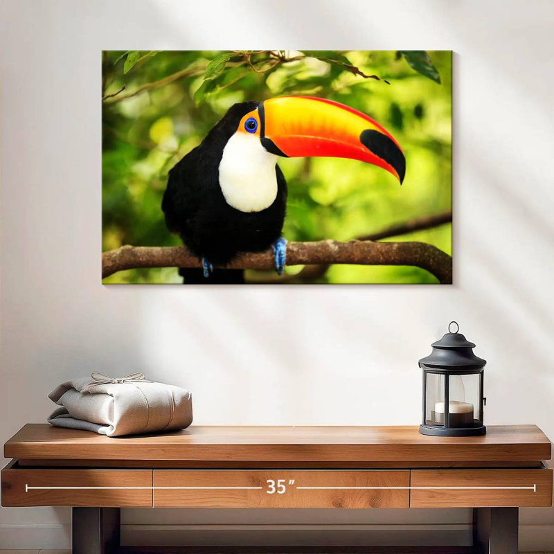 Brampt Toco Toucan, 16" H x 24" W
