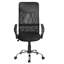 Taylore Mesh Executive Chair