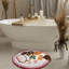  Tapis de bain Fun Ramen - Tapis de salle de bain moelleux rond lavable avec envers antidérapant - Petit tapis de salle de bain mignon et amusant-737621495