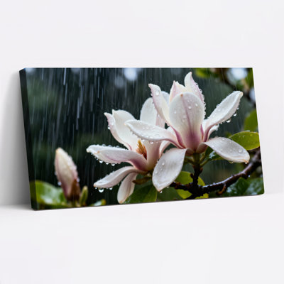 «Magnolia Flower In Rain», reproduction d'art sur toile tendue sur toile, ensemble de 1