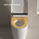 Intelligent Toilet with Advanced Functions for Hygienic and Convenient Use