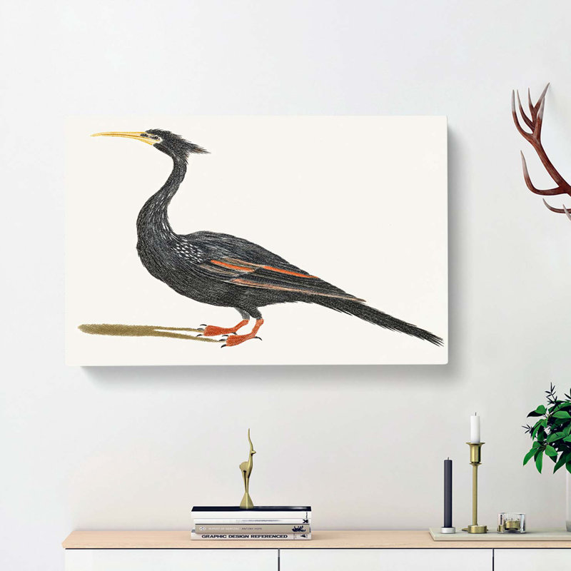Water Bird by Johan Teyler - Wrapped Canvas, 50cm H x 76cm W x 3cm D
