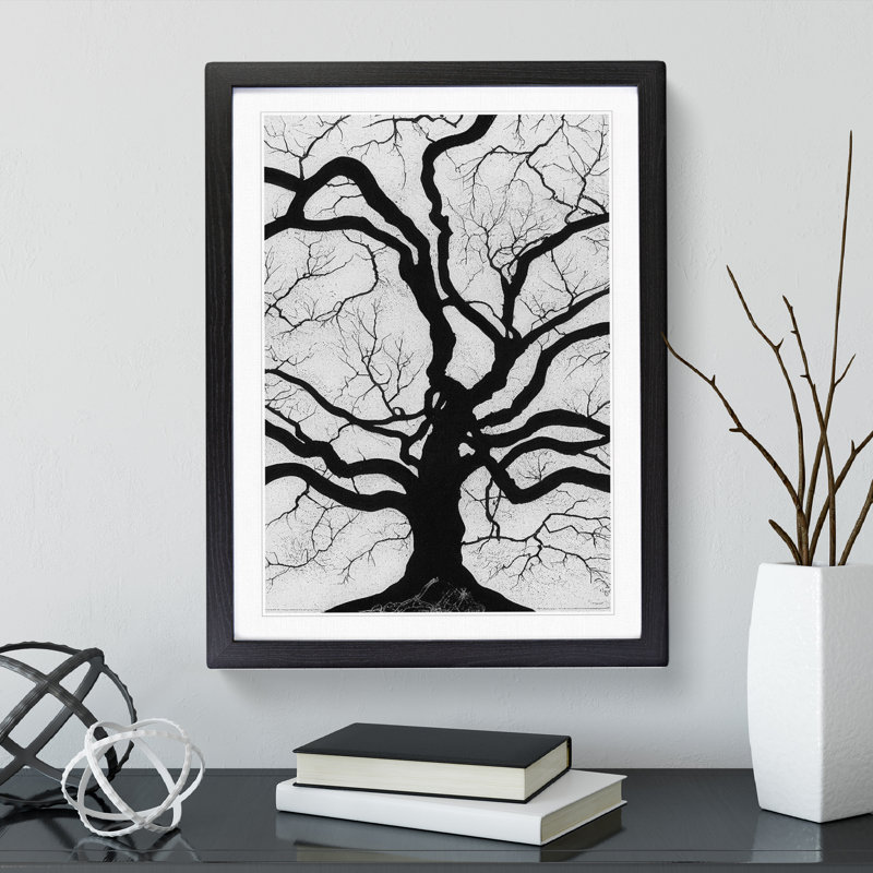 Monochrome Tree Art No.3 - Framed Print, Black, 64cm H x 46cm W