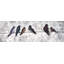 Oiseaux colorés sur des branches-119863862