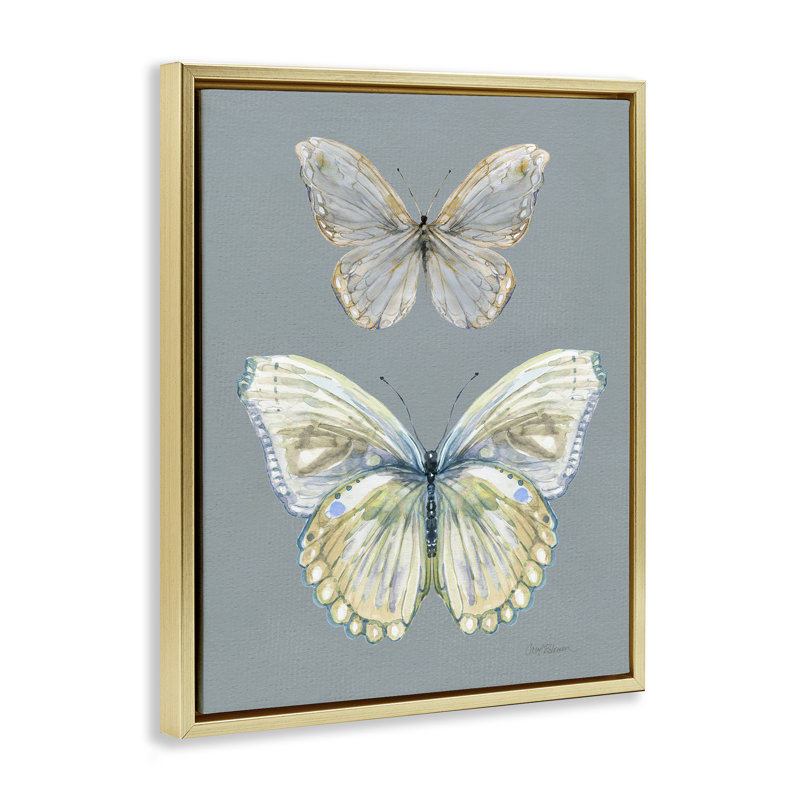 Cadre flottant Papillon, étude par Carol Robinson, Cadre flottant métallique doré, H 21 po x l 17 po