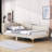Kimarie Upholstered Daybed with Armrest-1955708376-1955708379