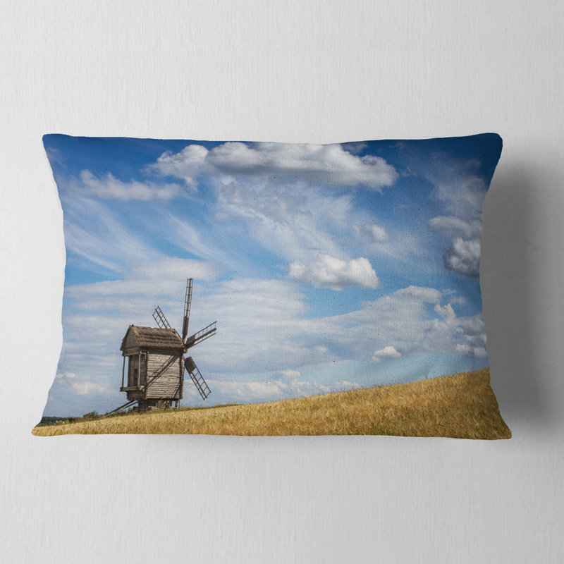 Coussin lombaire Schafer