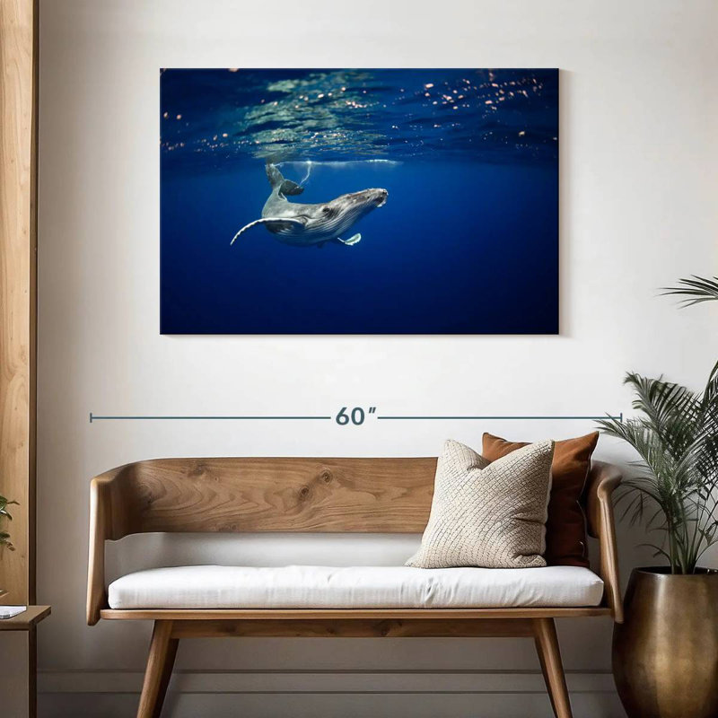 Brampt Humpback Whale In The Sea