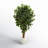 72'' Faux Ficus Tree in Ceramic Planter