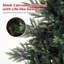 Christmas Tree-2065102940