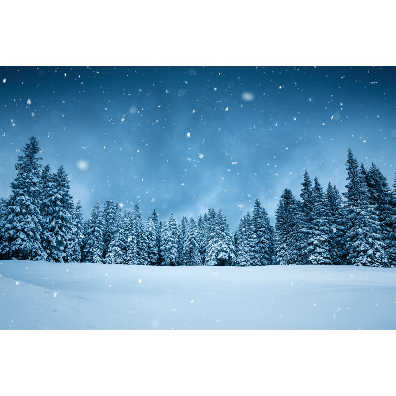 Winter Forest by Borchee - Wrapped Canvas Print, 20cm H x 30cm W x 3.8cm D