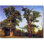 Carreau de céramique décorative 48 po x 36 po 12 po x 12 po