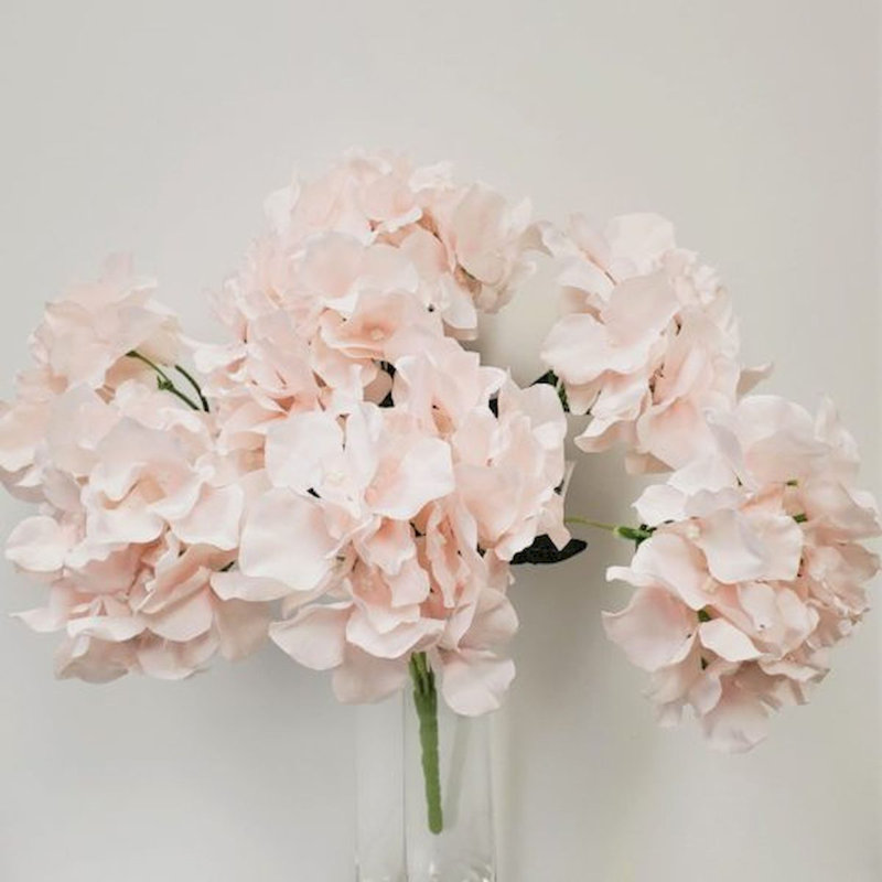 Hortensia, Rosé