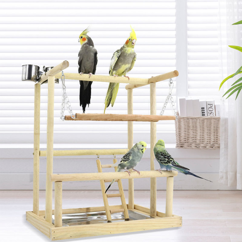 17,9 oiseaux
