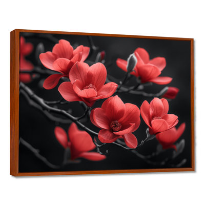 Red Black Garden Glamour Magnolias Photo II - Magnolias Wall Art