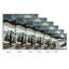 Terre moderne 1752-2028088043