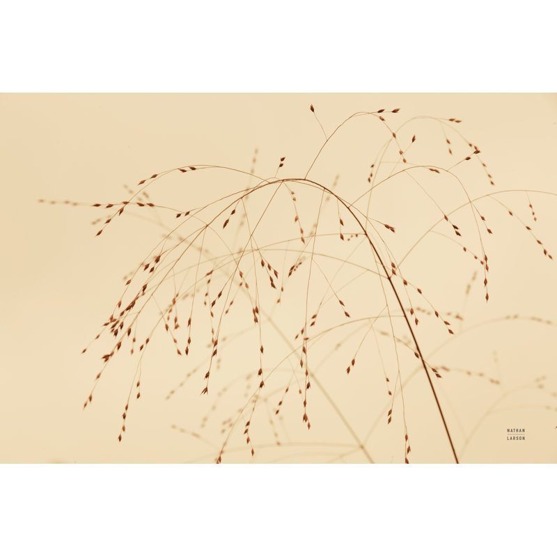 «Lakeside Grasses V» par Nathan Larson - reproduction, Imprimé avec cadre noir, Oui, H 8 po x l 12 po x P 1,25 po