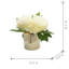 P 12 po x H 5 po arrangement de pivoines en pot-1173200030