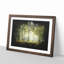 View of the Forest in the Spring - Picture Frame Graphic Art Print-56864731-56864732
