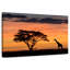 Alvord Masai Mara Giraffe au coucher du soleil-107701240