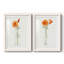 «I California Poppy Vase», reproduction encadrée prête à accrocher-342106463-342106462