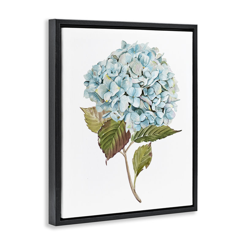 «Simple Hydrangea Bud» par Enya Todd, Cadre flottant noir de jais, H 21 po x l 17 po