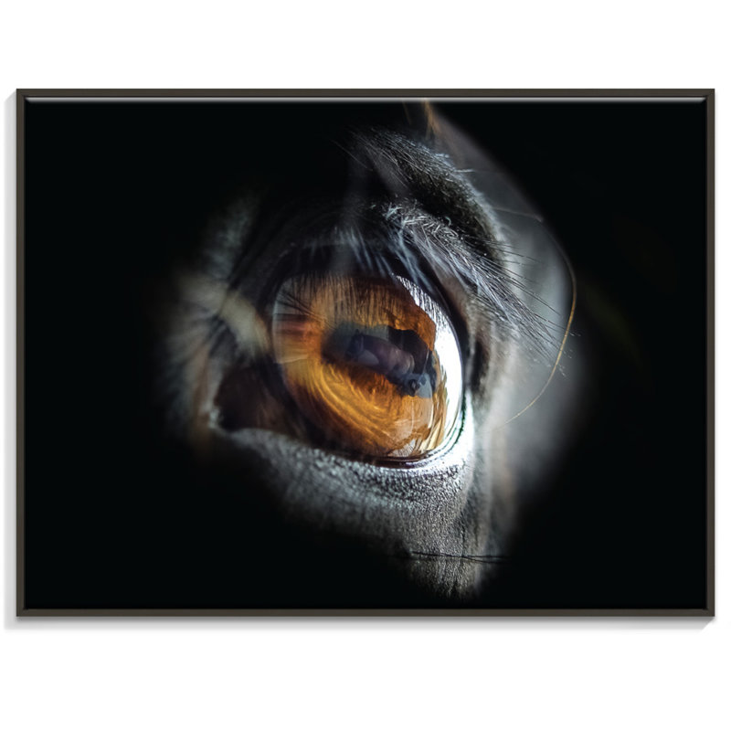 Print on Canvas, Black, 76cm H x 102cm W