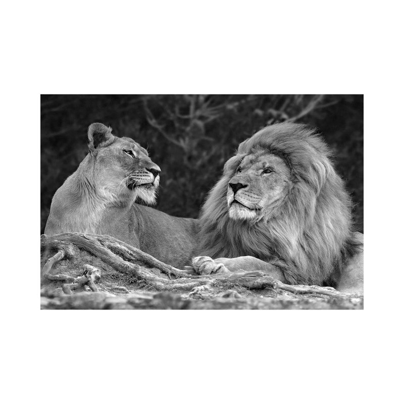 Love by Xavier Ortega - Wrapped Canvas Print, 66.04 cm H x 45.72 cm W x 1.91 cm D