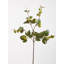Fiori Delphinium Arrangement