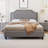 Button Tufted Velvet Upholstered Bed-5444237-5444272
